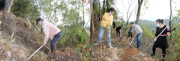 C:\Users\luoyufang\Desktop\20210315義務(wù)植樹(shù)\廈門宏業(yè)義務(wù)植樹(shù)照片\1.jpg